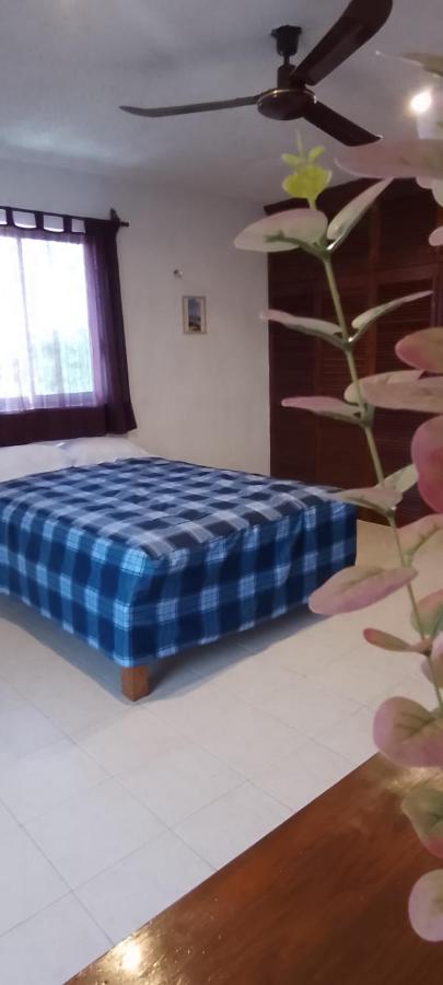 Baki Guest house *