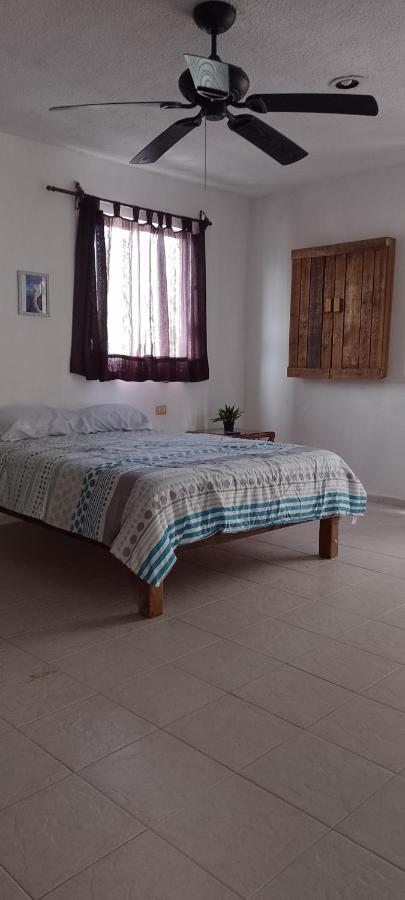 Baki Cozumel